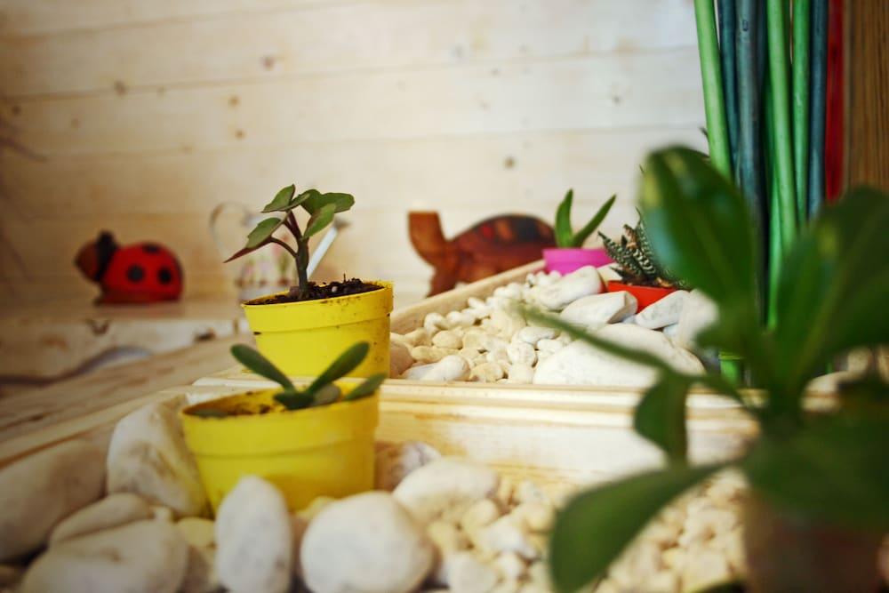 Bed & Breakfast Airport Deluxe Fiumicino